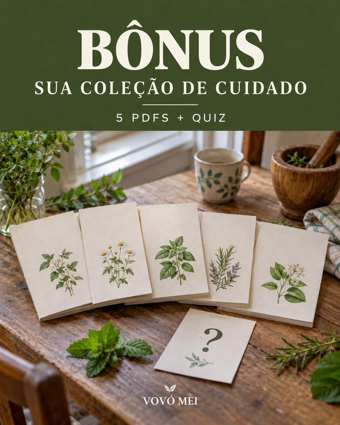 Bônus — cinco PDFs e quiz da Vovó Mei